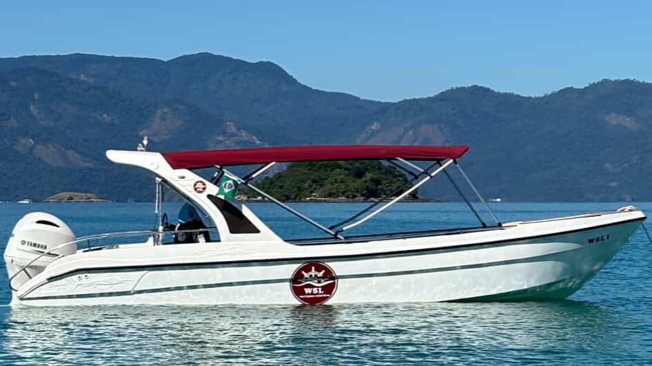 WSL I