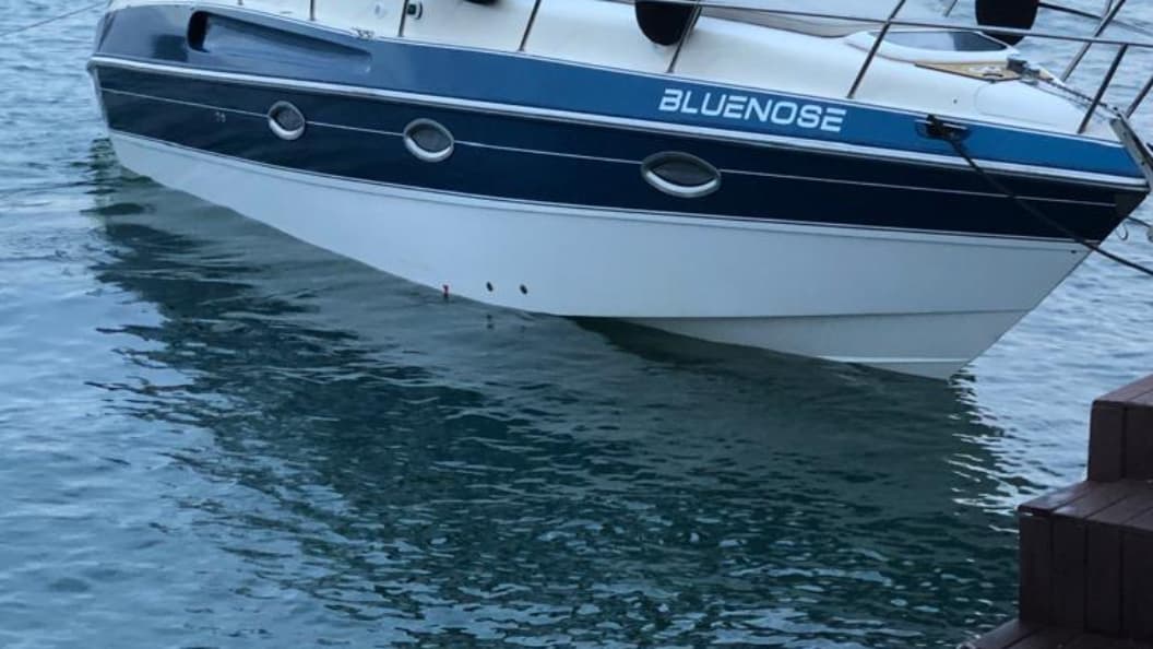 Bluenose