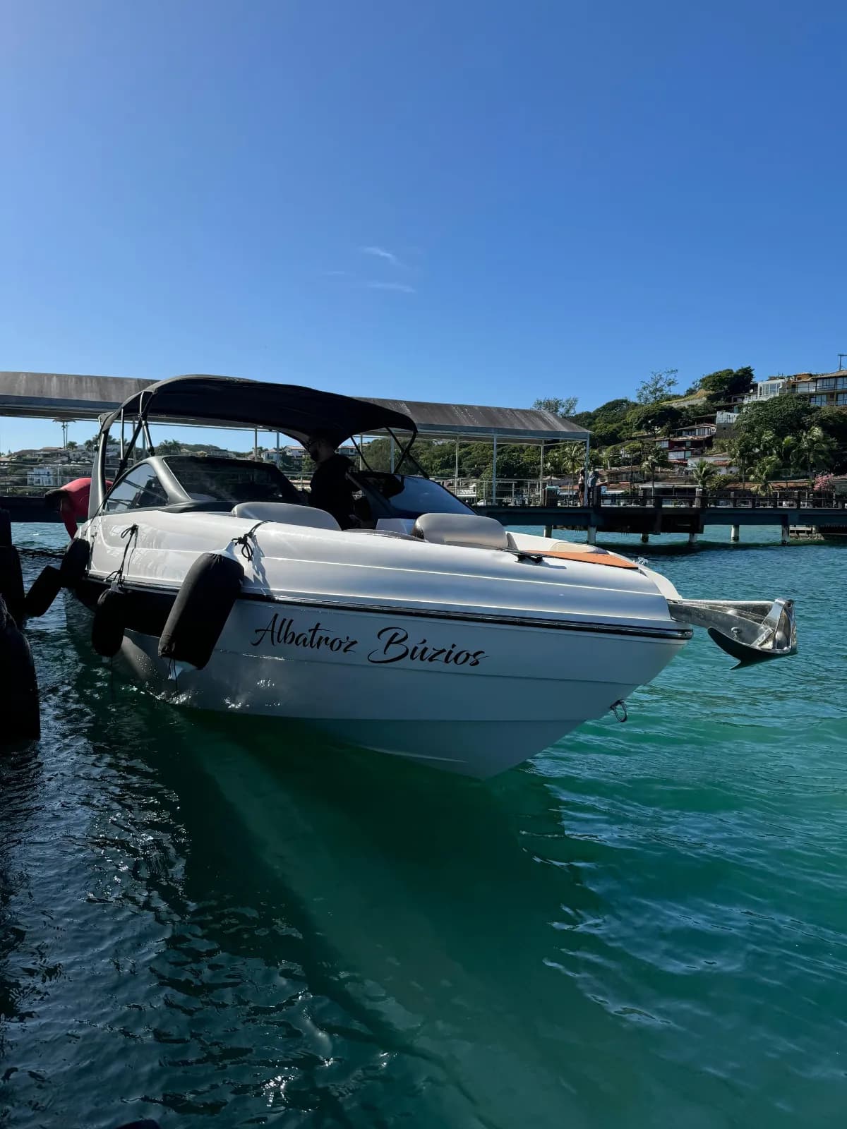 Albatroz Búzios